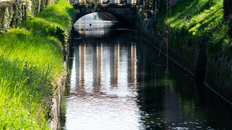 Monitoraggio della qualità dell'acqua del Canale di Reno
