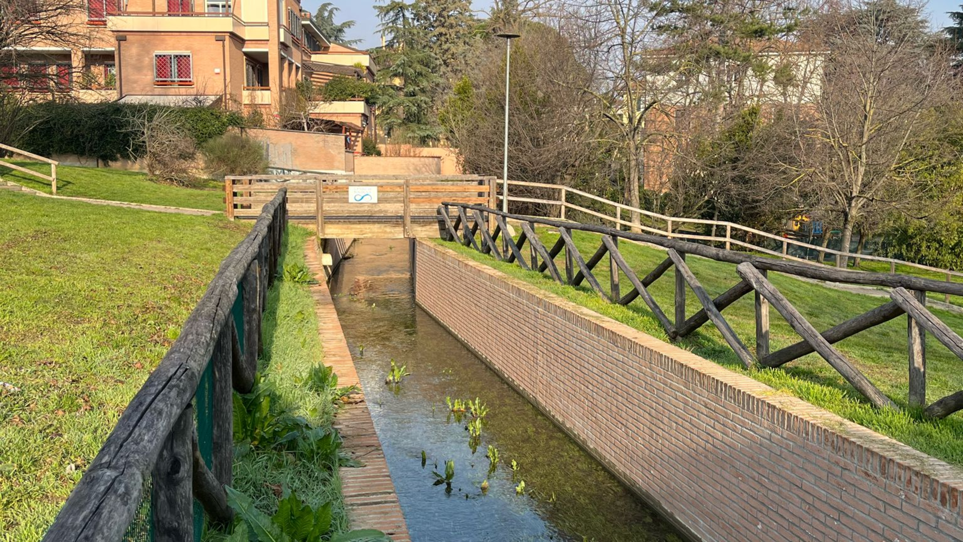 canale savena parco oliviero olivo