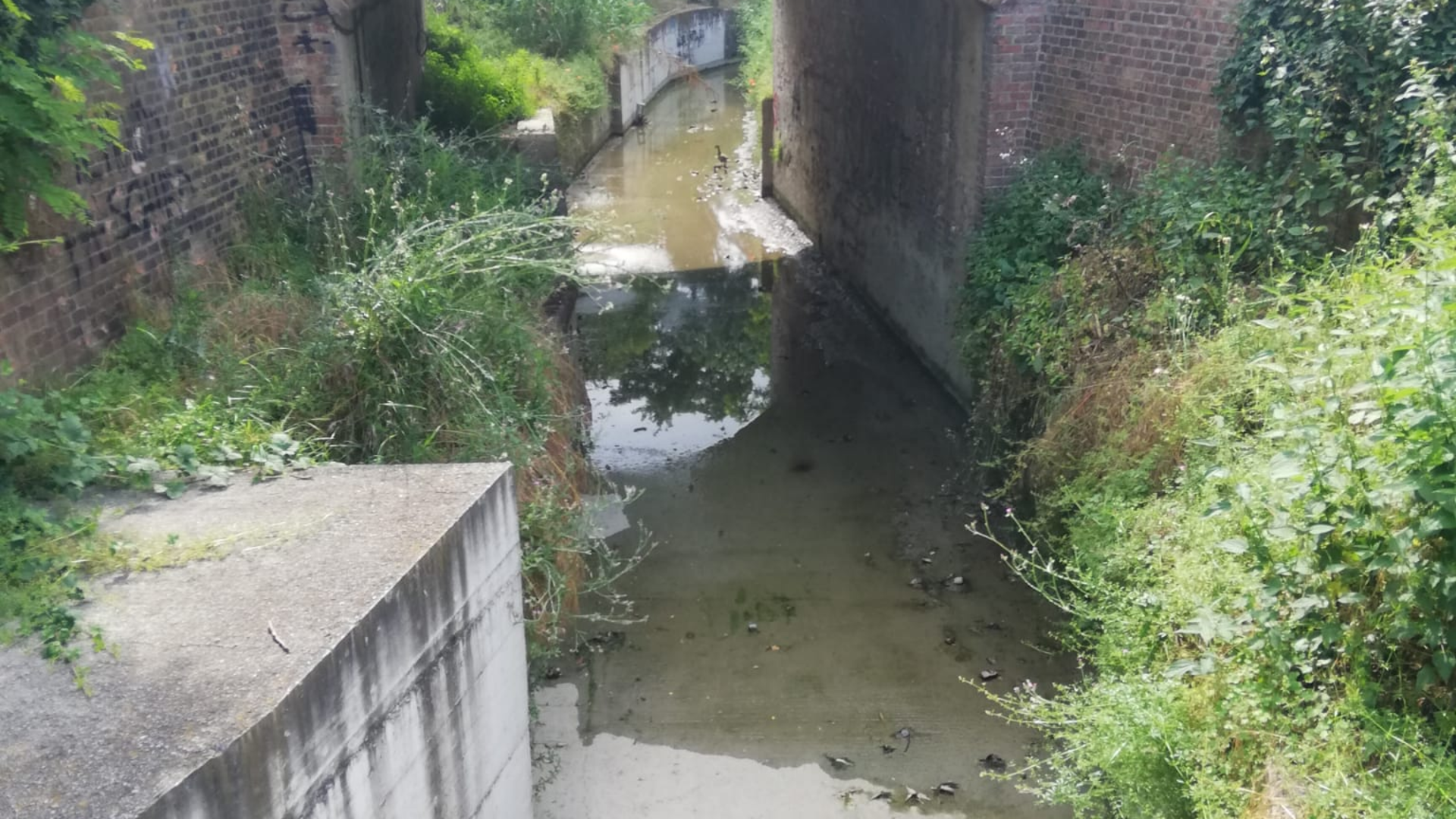 canale savena via mascagni