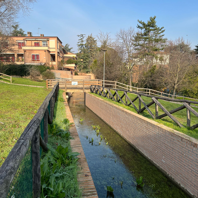 canale savena parco oliviero olivo