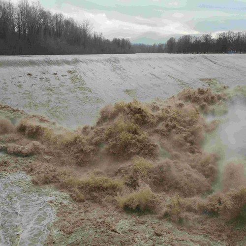 Fig. 5. Piena presso la Chiusa di Casalecchio, Archivio Canali di Bologna, 2 febbraio 2019.