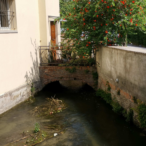 fig. 4 ex Mulino di Pescarola, archivio Canali di Bologna