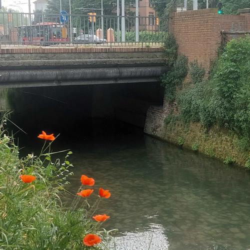 Ponte del Ghisello canale reno
