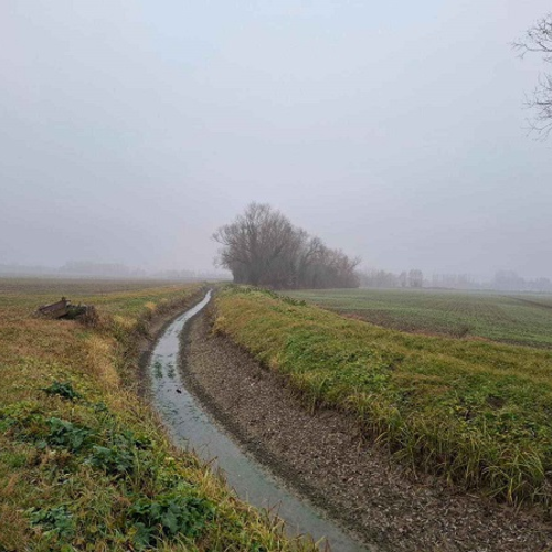 fig. 2. La canaletta Ghisiliera a monte della griglia di filtrazione, Archivio Canali di Bologna 2025