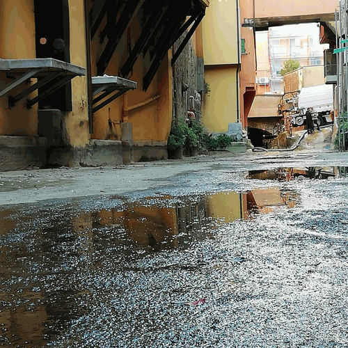 Sottorenei1